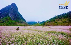 Best Time to Do the Ha Giang Loop 11c