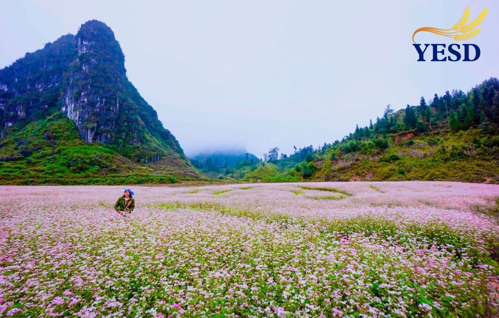 Best Time to Do the Ha Giang Loop 11c