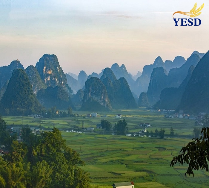 Ngoc Con Valley 3