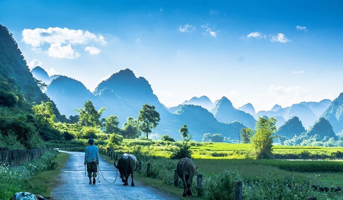 phong nam valley